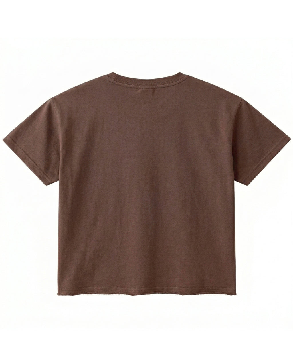 Brown Boxy Fit T-shirt Back Design all