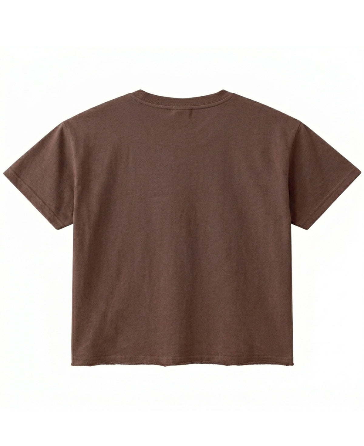 Brown Boxy Fit T-shirt Back Design all